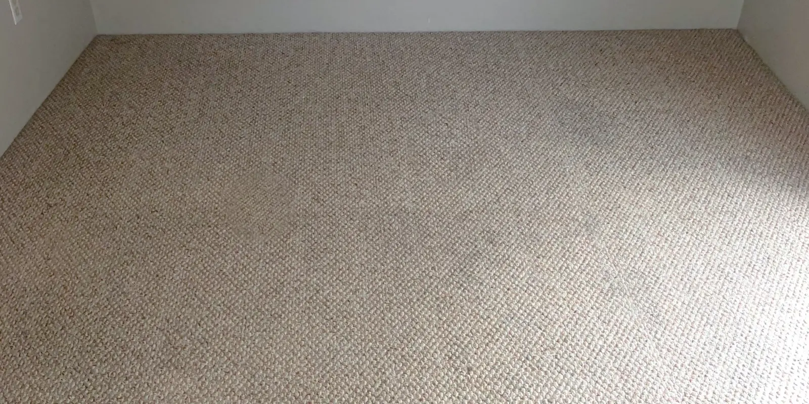 Same room after carpet cleaning by Tufts Carpet Cleaning