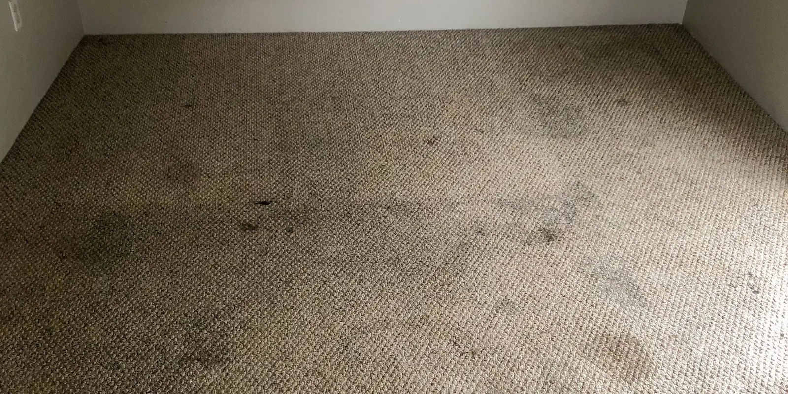 Same room before carpet cleaning by Tufts Carpet Cleaning