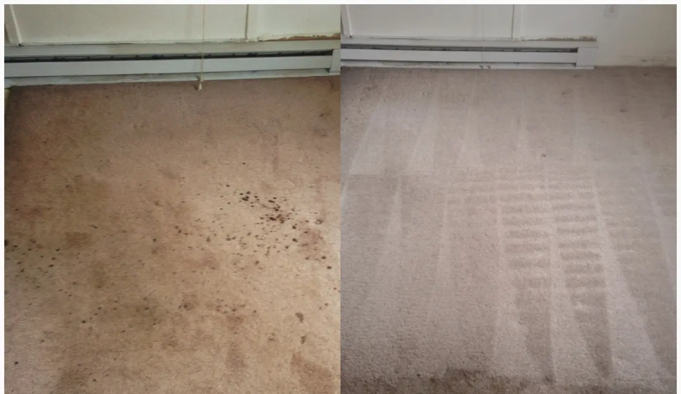 Side-by-side photographs of the same room before and after carpet cleaning