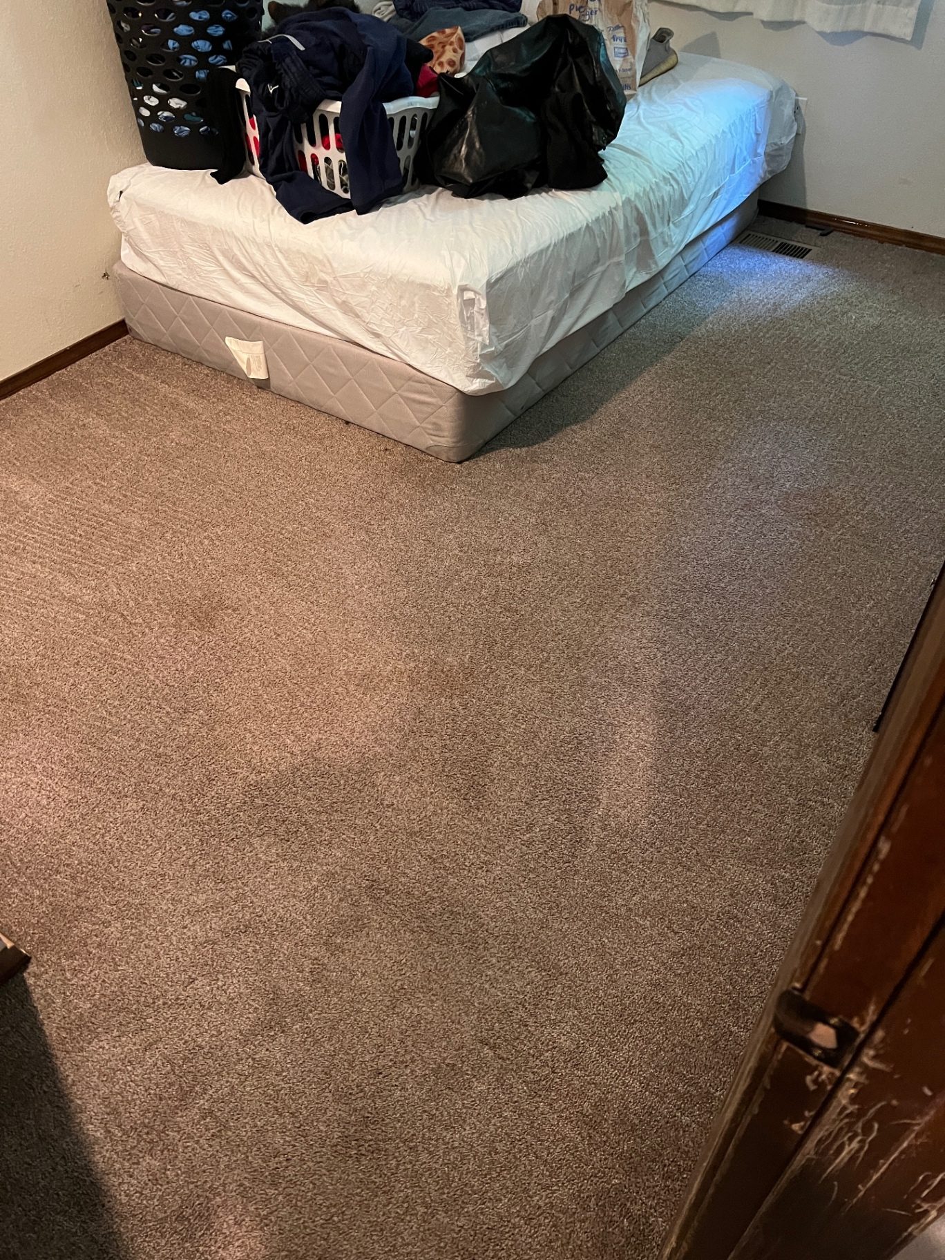 After professional carpet cleaning - High-Traffic Restoration in Troutdale Living Room - Tufts Carpet Cleaning results