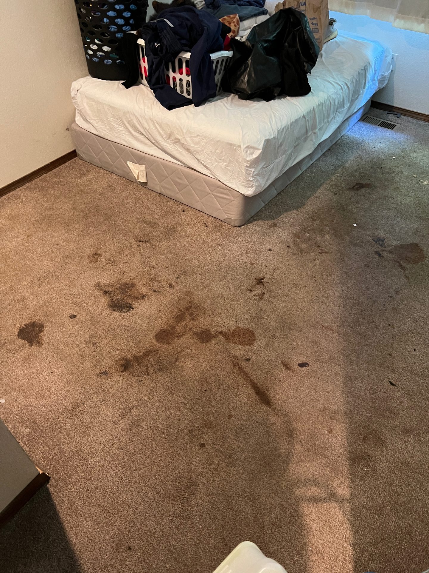Before professional carpet cleaning - High-Traffic Restoration in Troutdale Living Room