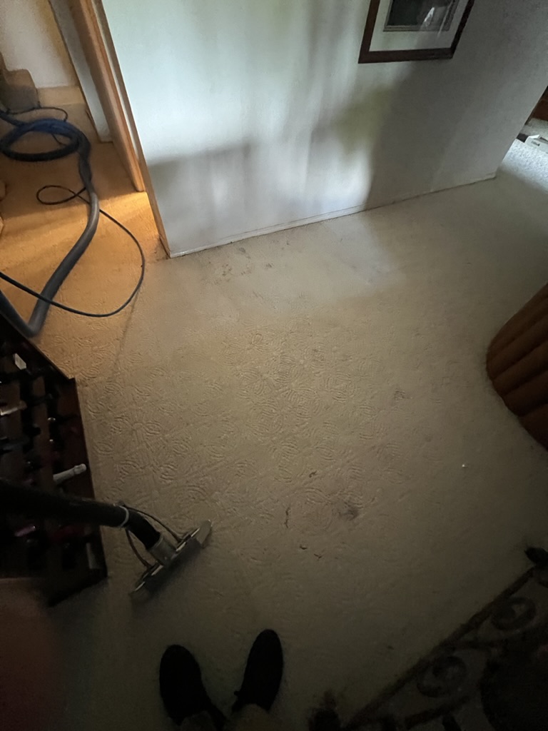 After professional carpet cleaning - Pet Odor Treatment in Happy Valley Bedroom - Tufts Carpet Cleaning results