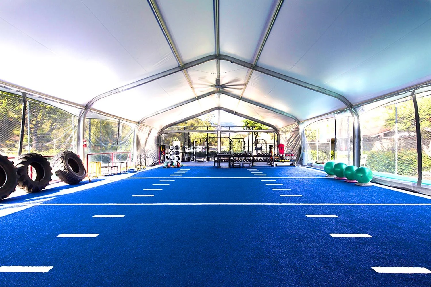 Tackle the Turf: Pro Tips for a Cleaner, Greener Indoor Field